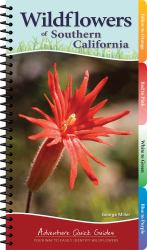 Wildflowers of Southern California : Your Way to Easily Identify Wildflowers