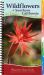 Wildflowers of Southern California : Your Way to Easily Identify Wildflowers