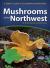 Mushrooms of the Northwest : A Simple Guide to Common Mushrooms