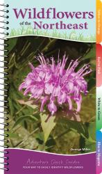 Wildflowers of the Northeast : Your Way to Easily Identify Wildflowers