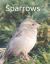Sparrows : Senior Reader Study Bible Reading in Extra-Large Print for Memory Care with Colorful Photos, Reminiscence Questions, and Coloring Activities