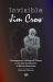 Invisible Jim Crow : Contemporary Ideological Threats to the Internal Security of African Americans