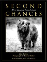 Second Chances : More Tales of Found Dogs