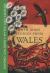 Stories from Wales