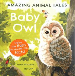 Amazing Animal Tales: Baby Owl