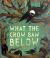 What the Crow Saw Below