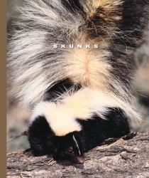 Skunks