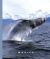 Whales