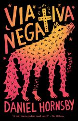 Via Negativa : A Novel