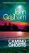 Camino Ghosts : A Novel