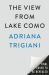 The View from Lake Como : A Novel