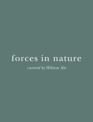 Forces in Nature