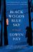 Black Woods, Blue Sky : A Novel