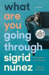 What Are You Going Through : A Novel