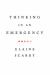 Thinking in an Emergency