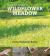 How to Make a Wildflower Meadow : Tried and Tested Techniques for New Garden Landscapes