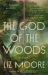 The God of the Woods : A Novel The God of the Woods : A Novel