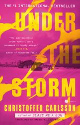 Under the Storm : A Novel