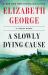 A Slowly Dying Cause : A Lynley Novel