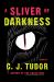 A Sliver of Darkness : Stories