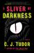 A Sliver of Darkness : Stories