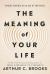The Meaning of Your Life : Finding Purpose in an Age of Emptiness