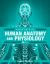 Essentials of Human Anatomy and Physiology