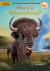 Where Is Yellowstone? Where Is Yellowstone?