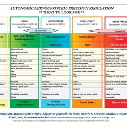 Autonomic Nervous System Table : Precision Regulation: What to Look For