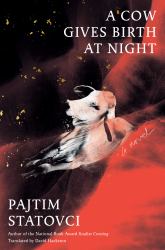 A Cow Gives Birth at Night : A Novel