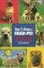 Guide to Owning a Chinese Shar Pei : AKC Rank #31 Guide to Owning a Chinese Shar Pei : AKC Rank #31