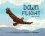 Dawn Flight : A Lakota Story