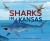 Sharks in Kansas : The Ancient Sea in the Middle of America