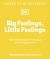 Big Feelings, Little Feelings : The Essential Book of Everyday Emotions