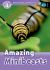 Amazing Minibeasts, Level 4