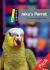 Jake's Parrot Pack Jake's Parrot Pack