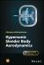 Hypersonic Slender Body Aerodynamics Hypersonic Slender Body Aerodynamics