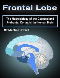 Frontal Lobe : The Neurobiology of the Cerebral and Prefrontal Cortex in the Human Brain