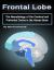 Frontal Lobe : The Neurobiology of the Cerebral and Prefrontal Cortex in the Human Brain