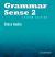 Grammar Sense 2