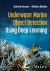 Intelligent Surveillance of Marine Objects Using d Eep Learning