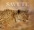 Savute : Botswana's Wildlife Kingdom