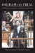 Saddam on Trial : Understanding and Debating the Iraqi High Tribunal