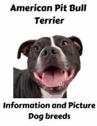 American Pit Bull Terrier Information and Picture : Dog Breeds