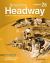American Headway : Split Workbook B