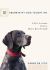 10 Secrets My Dog Taught Me : Life Lessons from a Man's Best Friend