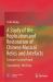 A Study of the Replication and Restoration of Chinese Musical Relics and Artefacts : Treasures Lost and Found