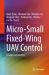 Micro-Small Fixed-Wing UAV Control : Design and Practice