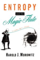 Entropy and the Magic Flute