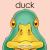 Duck